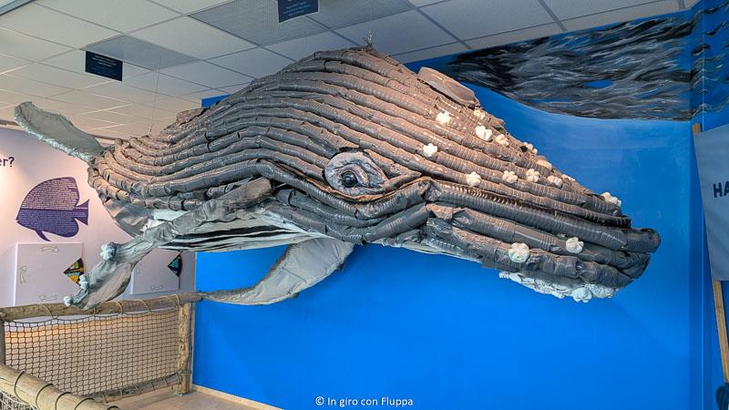 Haus des Meeres, Vienna - balena fatta con bottiglie di plastica riciclate