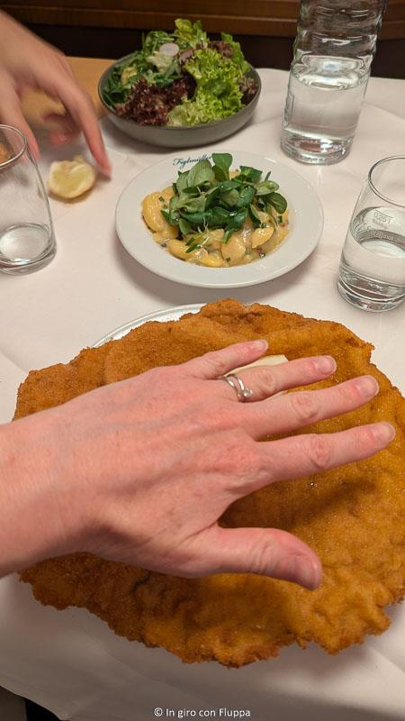 Grandezza della cotoletta comparata alla mia mano