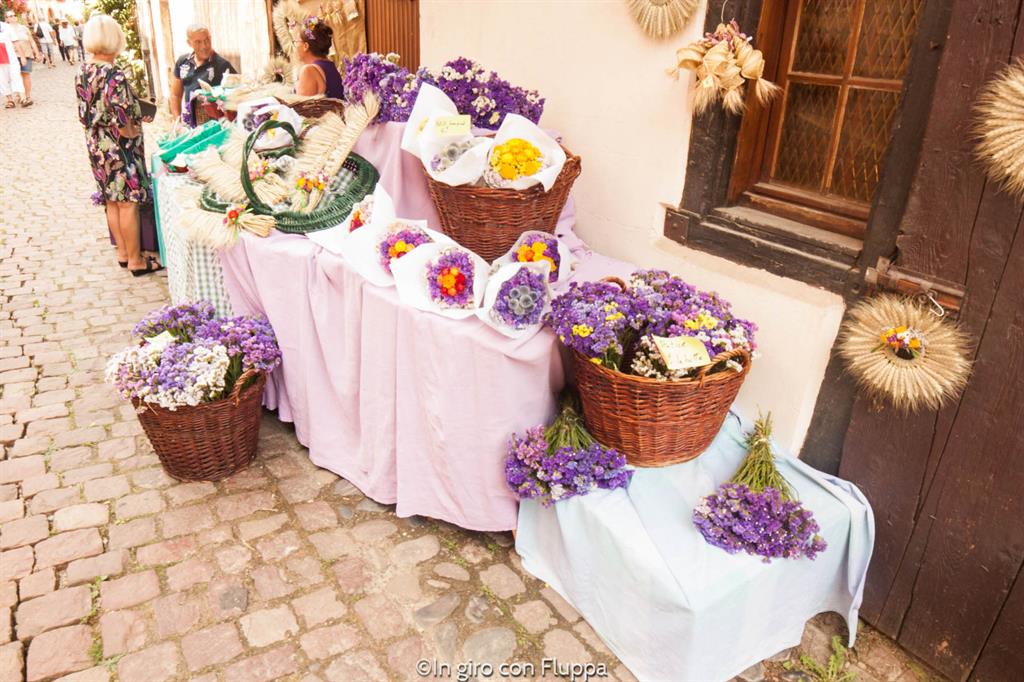 I villaggi dell'Alsazia: Eguisheim