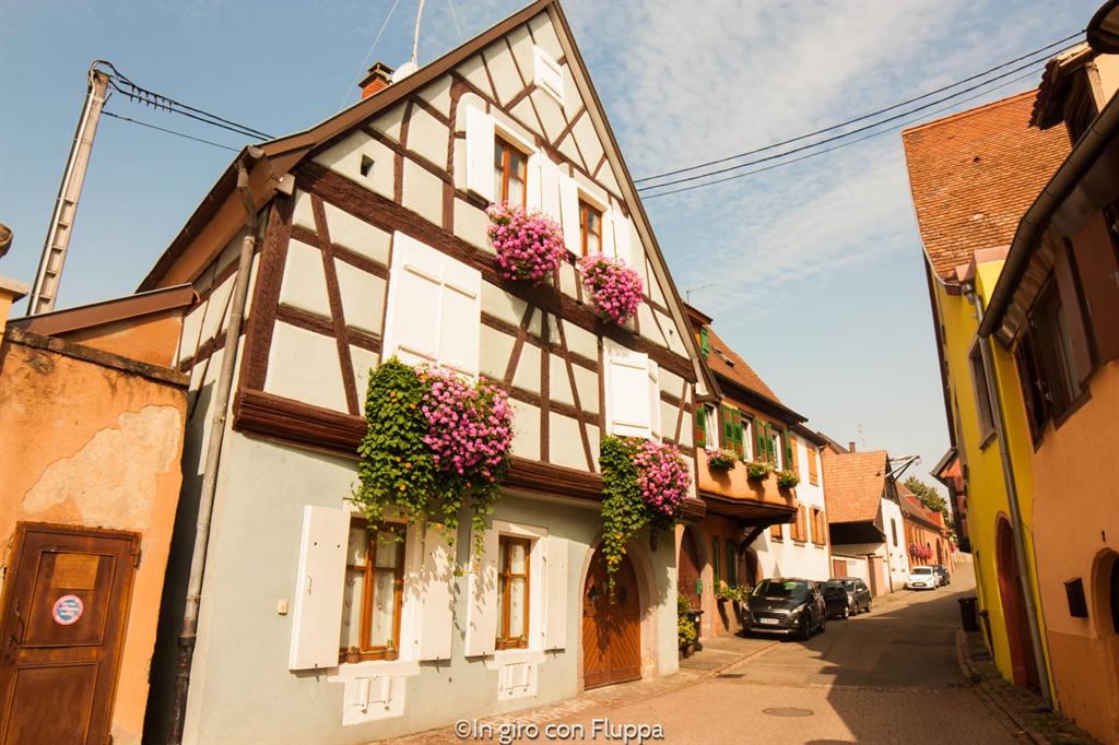 I villaggi dell'Alsazia: Ingersheim