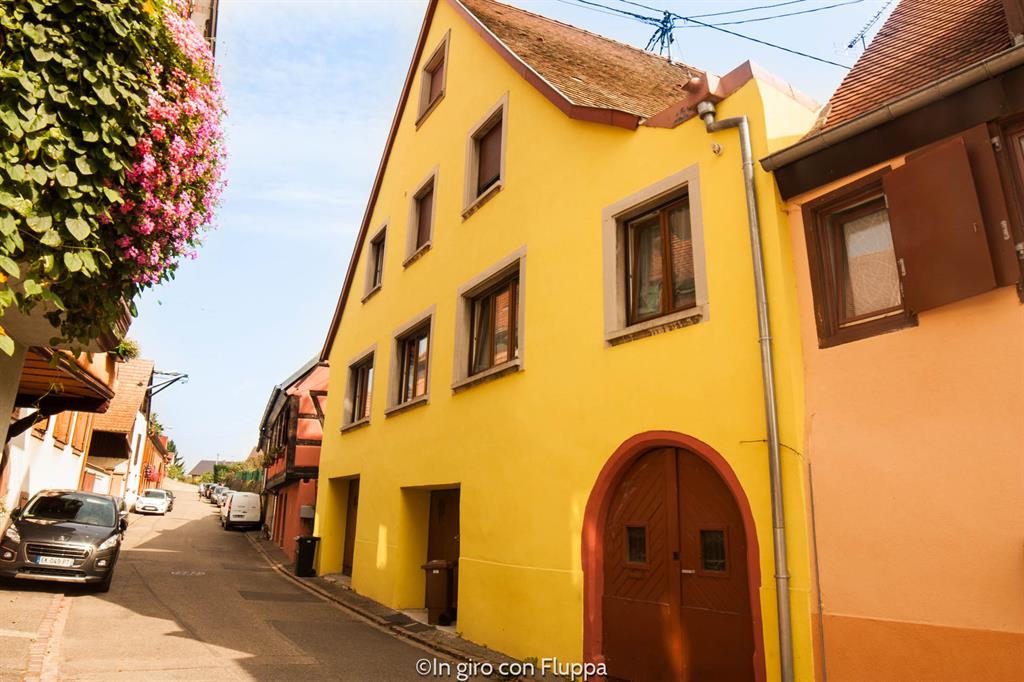 I villaggi dell'Alsazia: Ingersheim