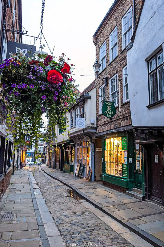 The Shambles