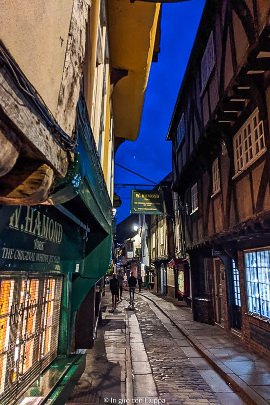 The Shambles